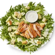 Picnic Lohi-caesarsalaatti