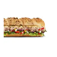 Subway Tonnikala